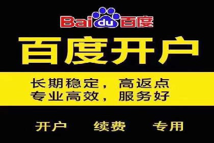 百度推广全攻略：成功案例剖析